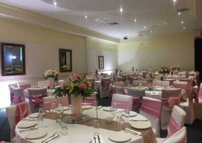 pale pink chair sashes